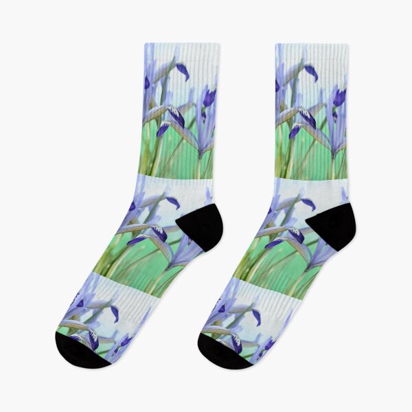 Item preview, Iris  'Clairette'  Reticulata  designed and sold by Chris Burrows.