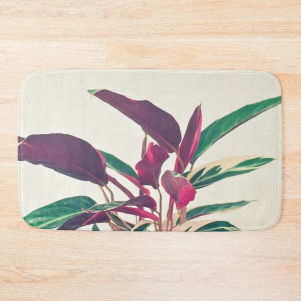 Item preview, Prayer Plant designed and sold by Cassia Beck.