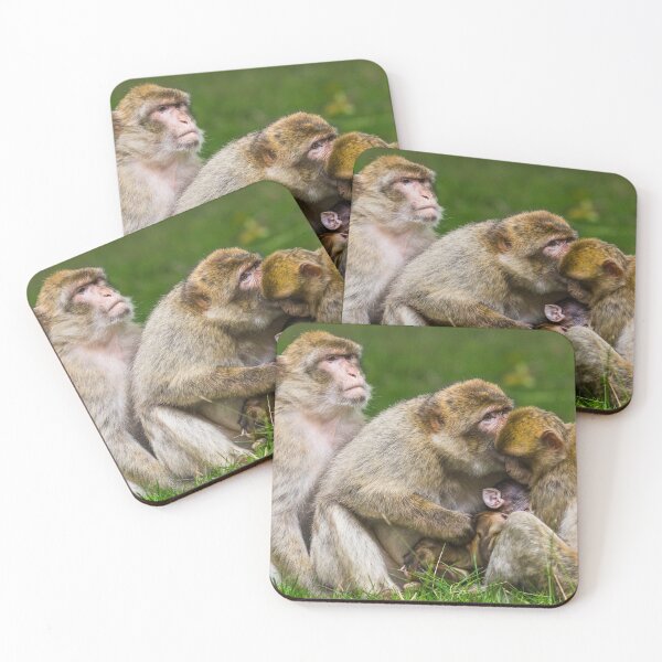 Item preview, A family of Barbary macaques designed and sold by wellsie82.