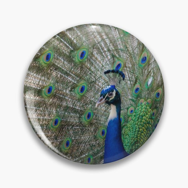 Item preview, Peacock designed and sold by Kyra C. Kalageorgi.