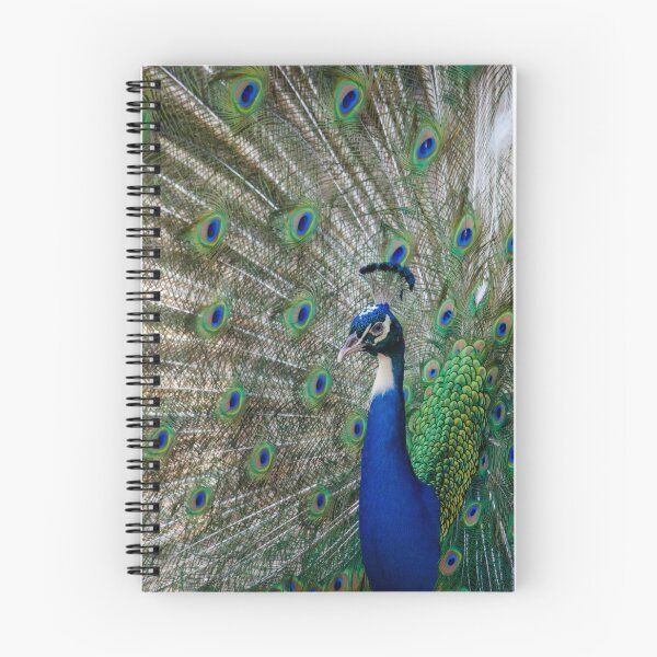 Item preview, Peacock designed and sold by Kyra C. Kalageorgi.