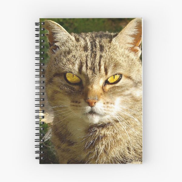 Item preview, Mouser designed and sold by © CK Caldwell IPA.