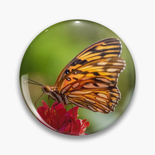 Item preview, Butterfly agraulis vanillae designed and sold by Nicole Bleck.
