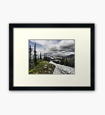 Montana Summer Framed Print