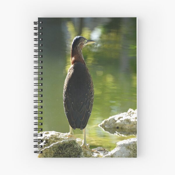 Item preview, Green heron designed and sold by Anowi.