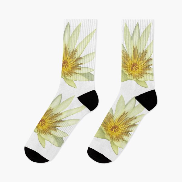Item preview, White Moon Lily designed and sold by killies.