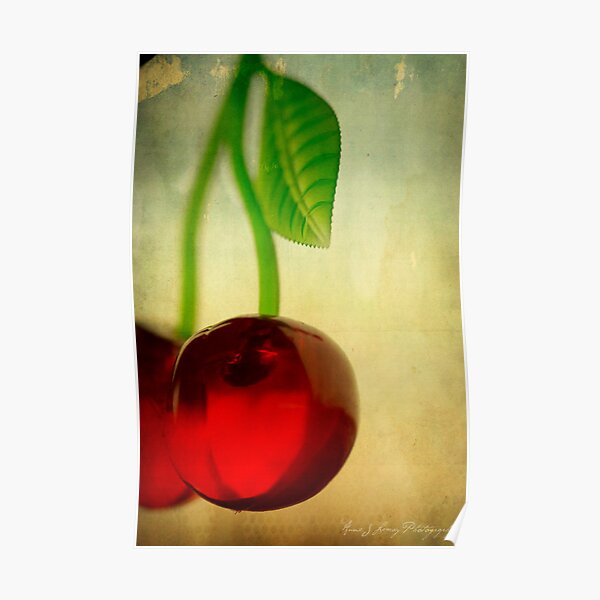 Vintage Cherries Poster