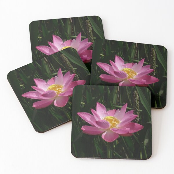 Item preview, Sacred Pink Lotus designed and sold by killies.
