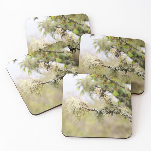 Item preview, In the Woods designed and sold by IslayFineArt.