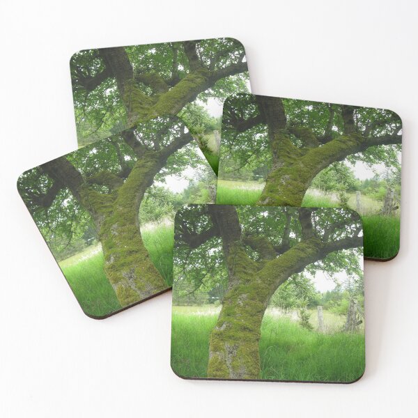 Item preview, Denman Island Apple Tree designed and sold by Rayzor Images.
