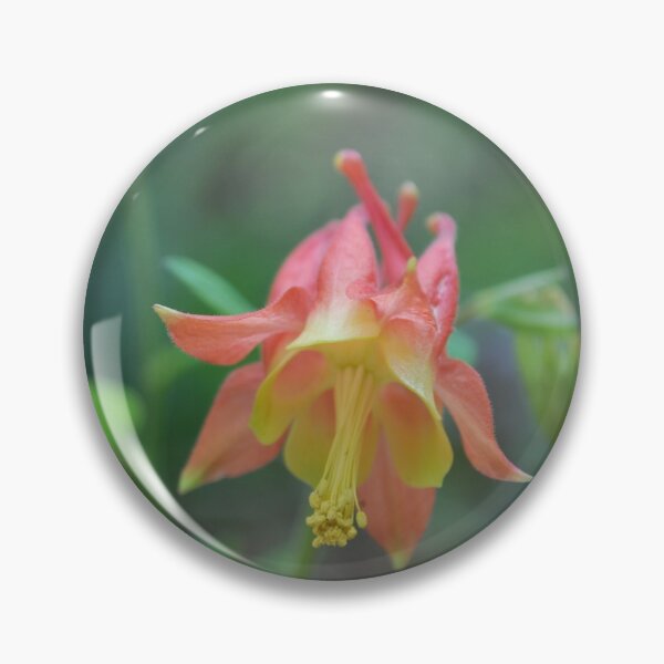 Item preview, Red Columbine designed and sold by Cathy Jones.