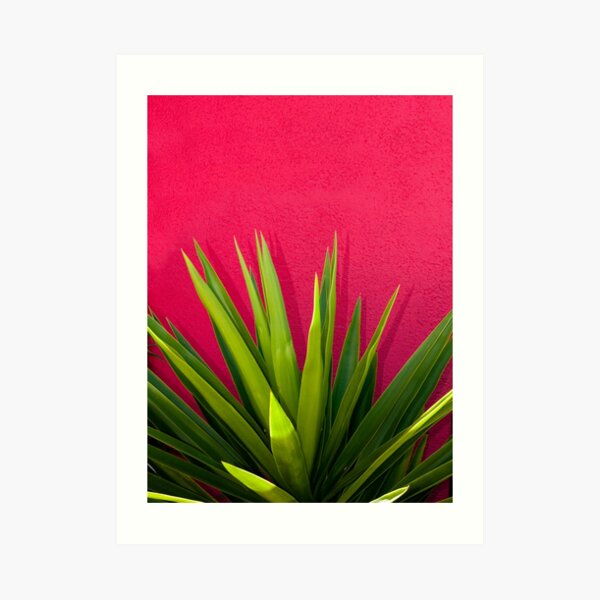 Contrasts Art Print