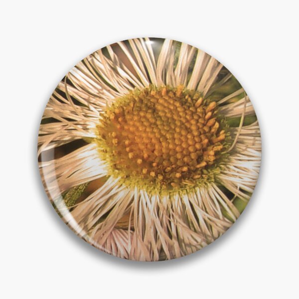 Item preview, Daisies Gone Wild In Lock Down v.1 05/12/20 15:26 designed and sold by Mark Polk.