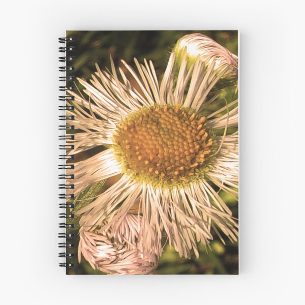 Item preview, Daisies Gone Wild In Lock Down v.1 05/12/20 15:26 designed and sold by Mark Polk.