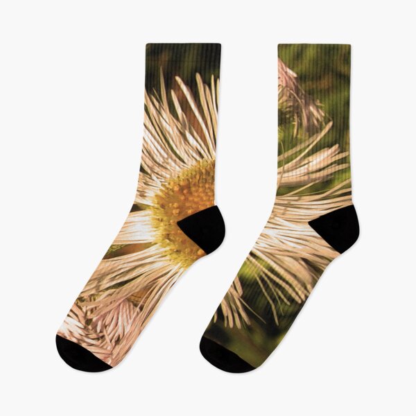 Item preview, Daisies Gone Wild In Lock Down v.1 05/12/20 15:26 designed and sold by Mark Polk.