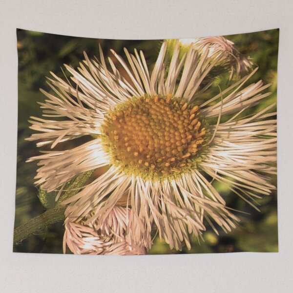 Item preview, Daisies Gone Wild In Lock Down v.1 05/12/20 15:26 designed and sold by Mark Polk.