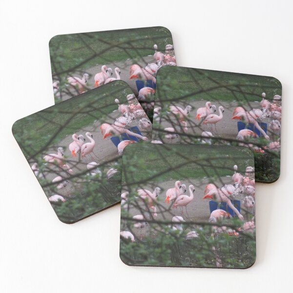 Item preview, BIG PINK BIRD WATCHING designed and sold by alexandriaiona.