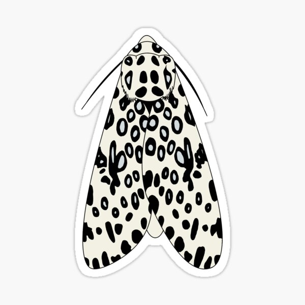 Giant Leopard Moth Sticker