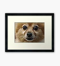 Omar Framed Print