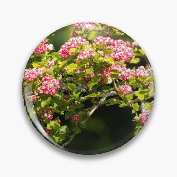 Item preview, In Bloom designed and sold by ellenmpics.
