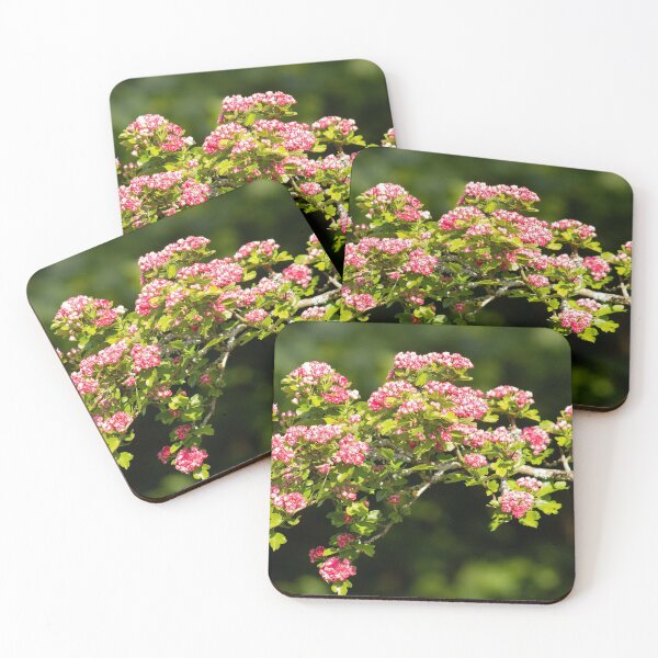 Item preview, In Bloom designed and sold by ellenmpics.
