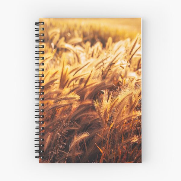 Item preview, golden wheat field designed and sold by franckreporter.