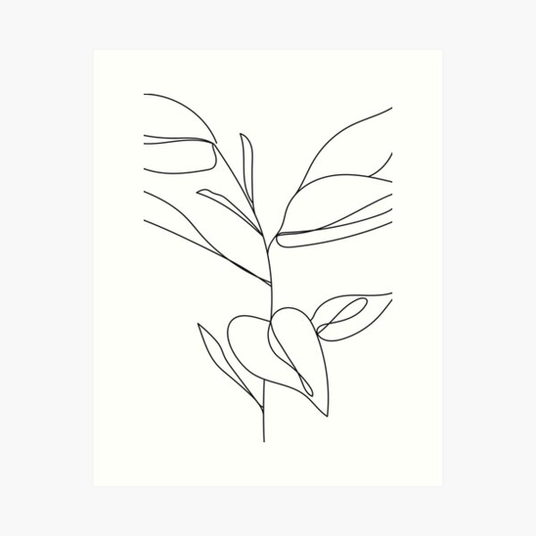 Fine Line Rubber Tree Drawing Art Print