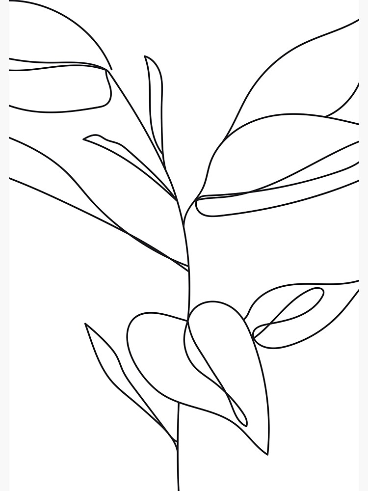 "Fine Line Rubber Tree Drawing" Sticker for Sale by AgataCreate Redbubble
