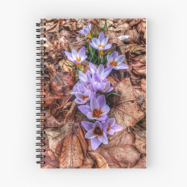 Item preview, 10 Reasons designed and sold by MarkBethoney.