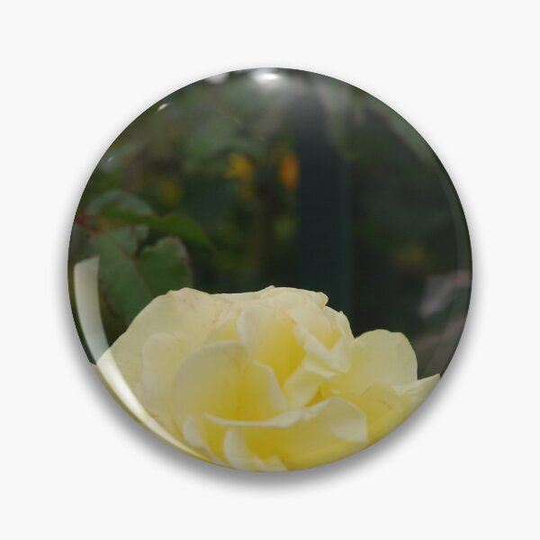 Item preview, Collection of light yellow roses designed and sold by lizdomett.
