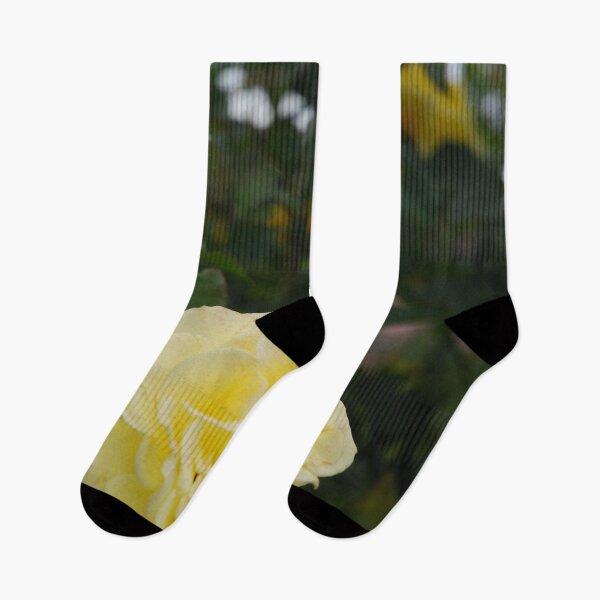 Item preview, Collection of light yellow roses designed and sold by lizdomett.