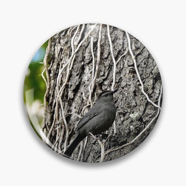 Item preview, catbird on a tree  designed and sold by Pepitaphotos.