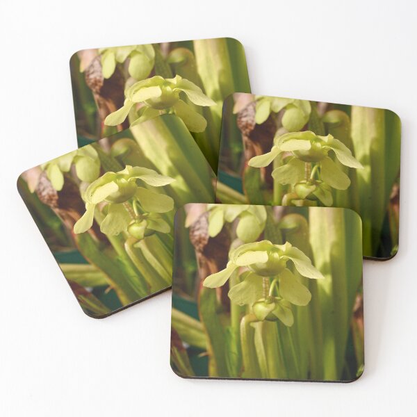 Item preview, Flying Flowers designed and sold by tasturm1.