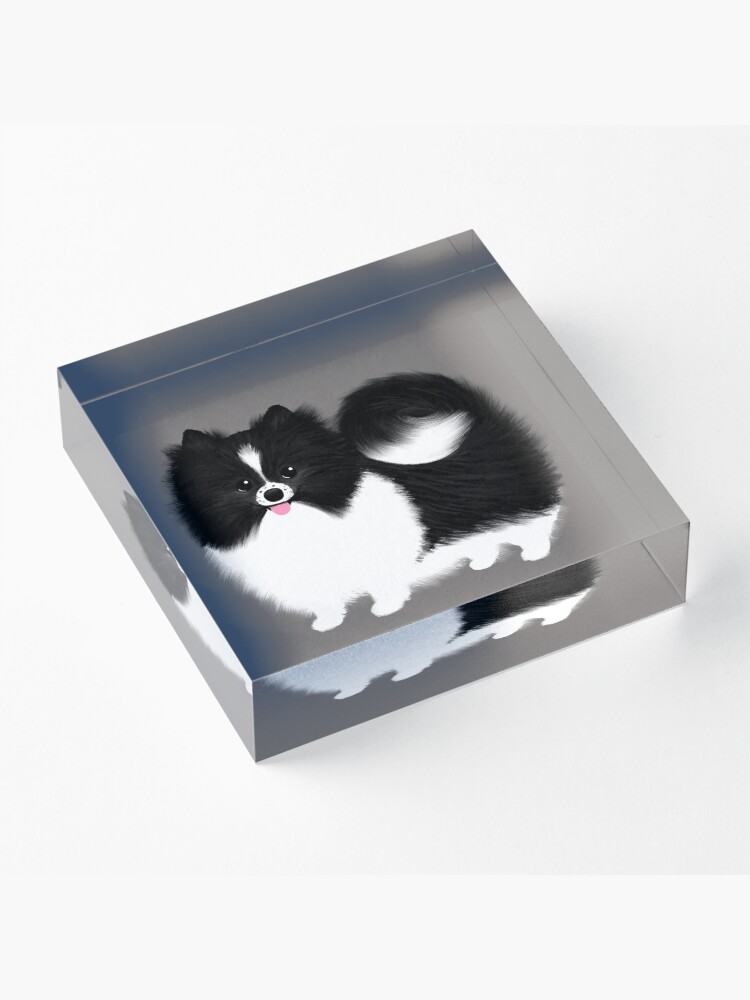 Alternate view of Black and White Parti Pomeranian | Cute Black and White Fluffy Dog Acrylic Block