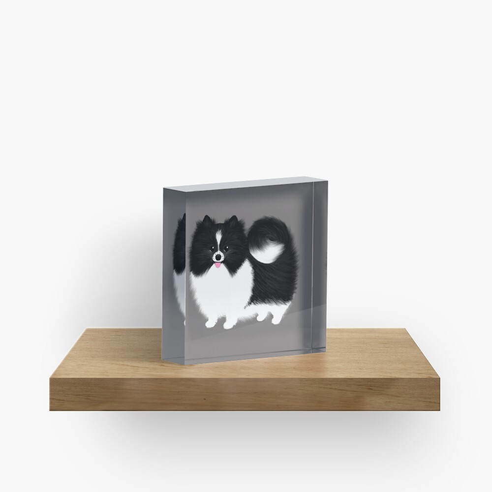 Black and White Parti Pomeranian | Cute Black and White Fluffy Dog Acrylic Block