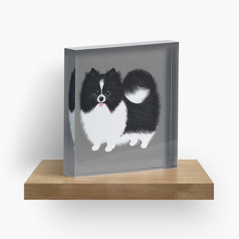 Black and White Parti Pomeranian | Cute Black and White Fluffy Dog Acrylic Block