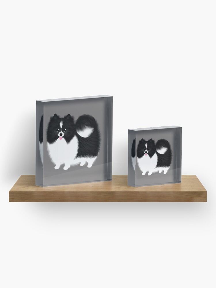Alternate view of Black and White Parti Pomeranian | Cute Black and White Fluffy Dog Acrylic Block