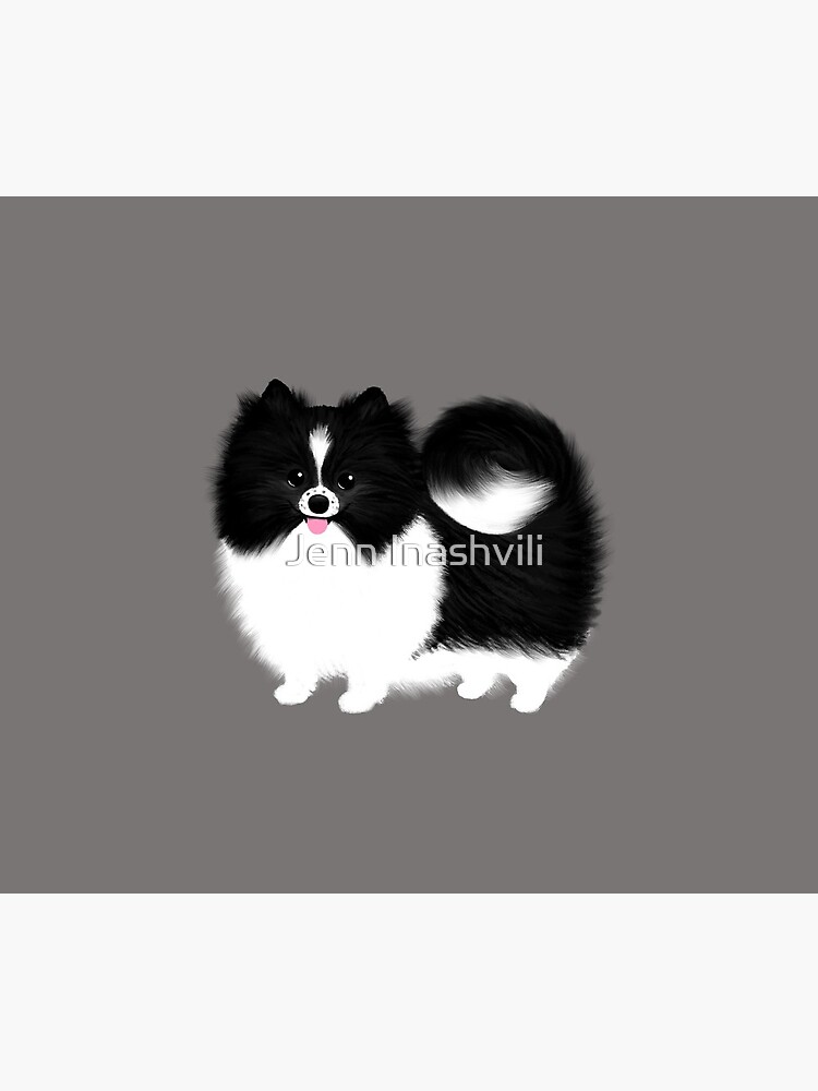 Black and White Parti Pomeranian | Cute Black and White Fluffy Dog by ShortCoffee