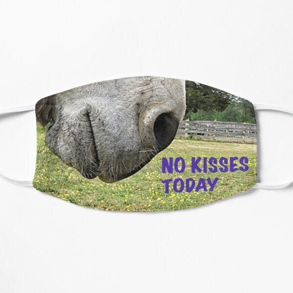 Donkey Muzzle, no kisses today! Mask