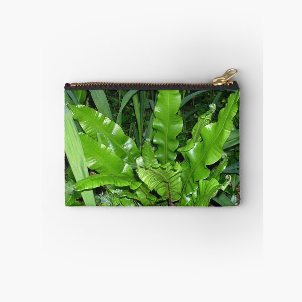 Item preview, Harts Tongue Fern designed and sold by lezvee.