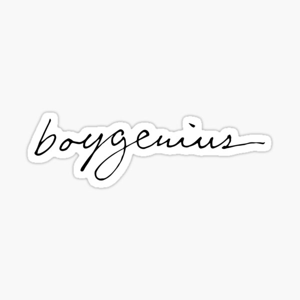 Boygenius Sticker
