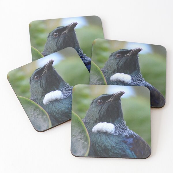 Artikelvorschau, Tui in meinem Garten - New Zealand Birds entworfen und verkauft von lizdomett.