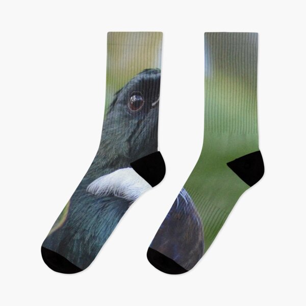 Item preview, Tui in my garden- New Zealand Birds designed and sold by lizdomett.