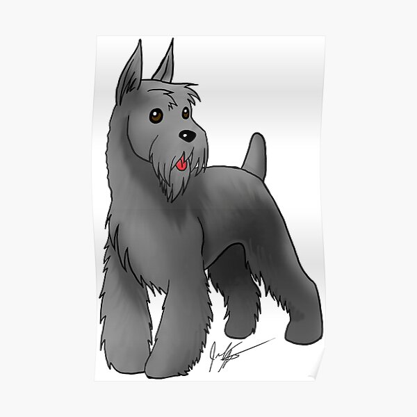 Schnauzer Poster