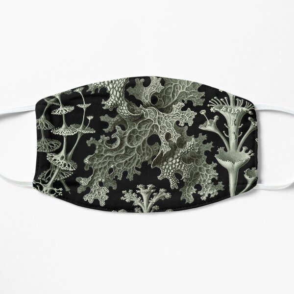 Natural History Lichen Flat Mask