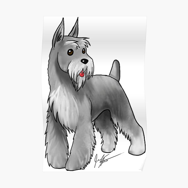 Schnauzer - Salt and Pepper Poster