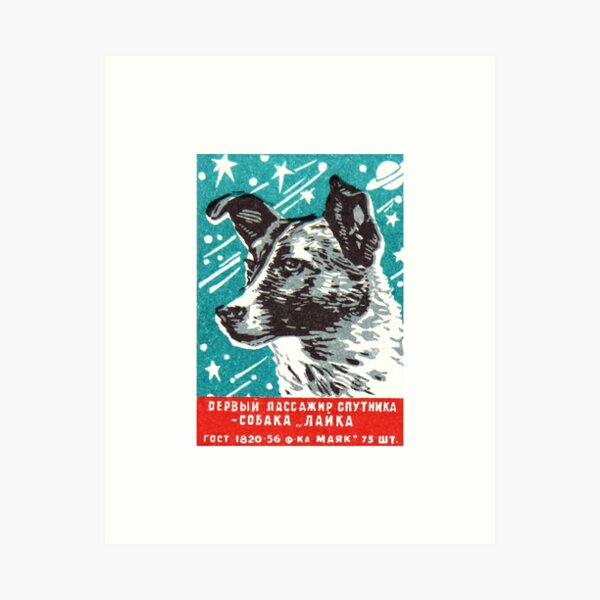 Item preview, 1950s Laika Space Dog Russian Matchbox Label designed and sold by retrographics.