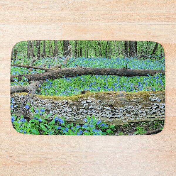 Item preview, Shells and Bells Panorama designed and sold by LynyrdSky.