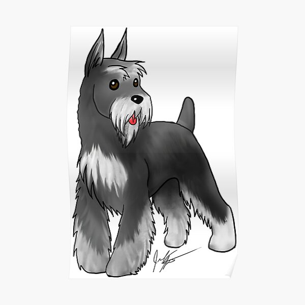 Schnauzer - Black and Silver Poster