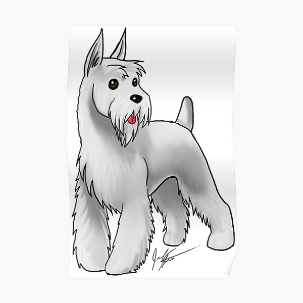 Schnauzer - White Poster